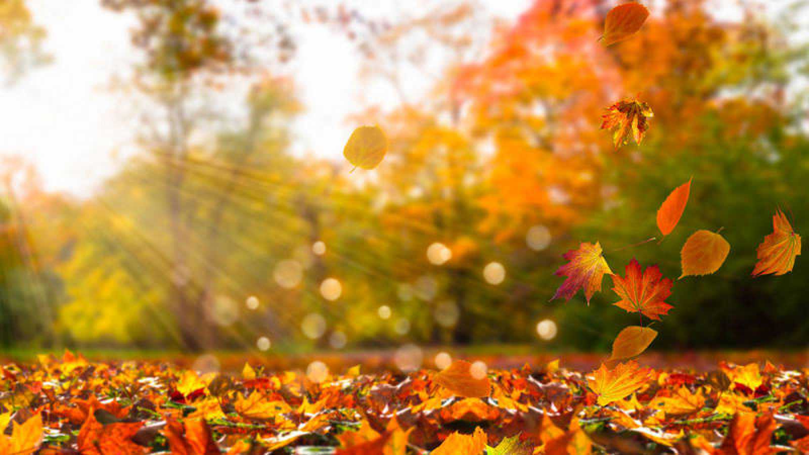 Características del otoño